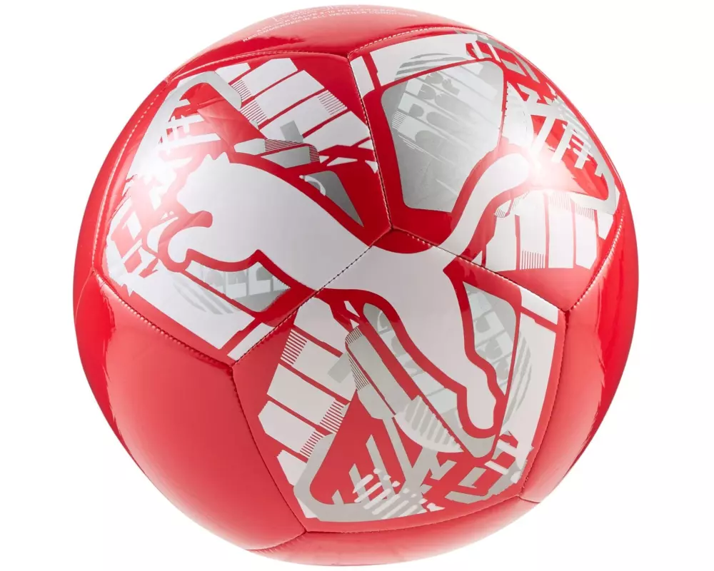 PUMA Fussball Big Cat Rot, 5