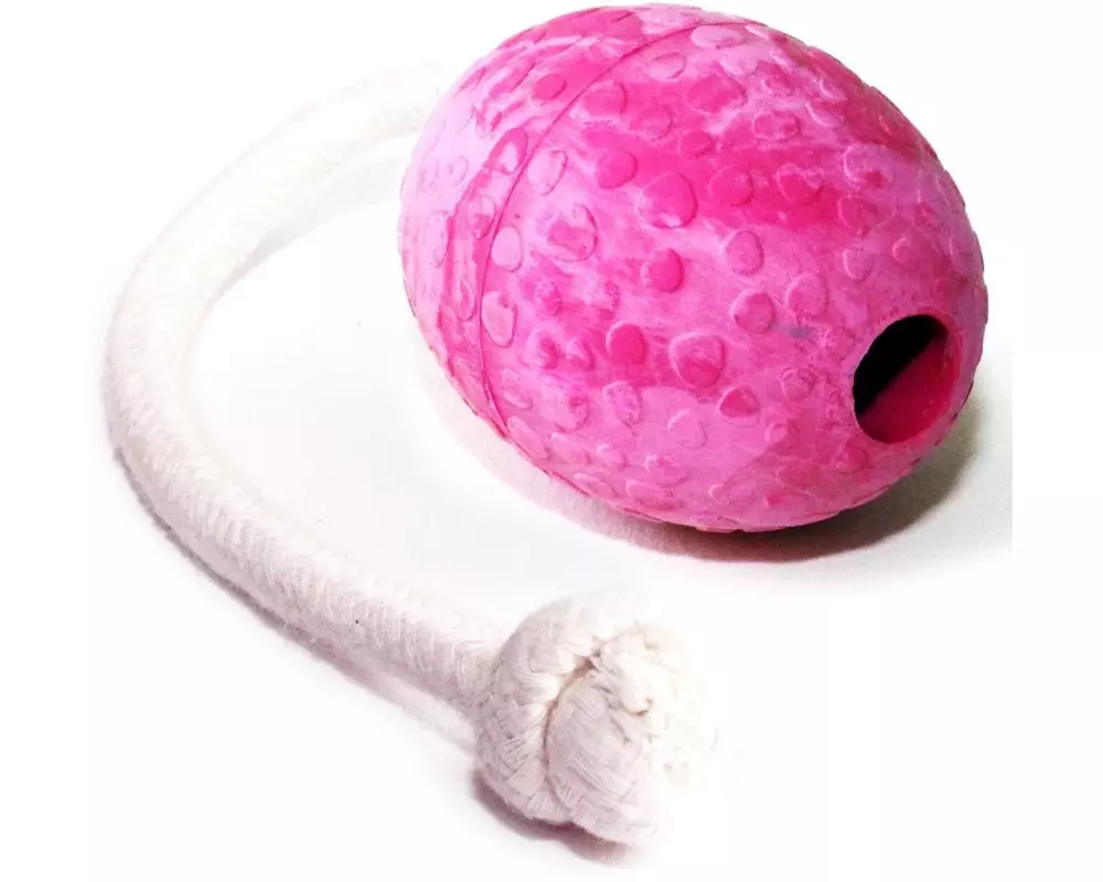 Wolters Hunde-Spielzeug Straussenei mit Seil, M