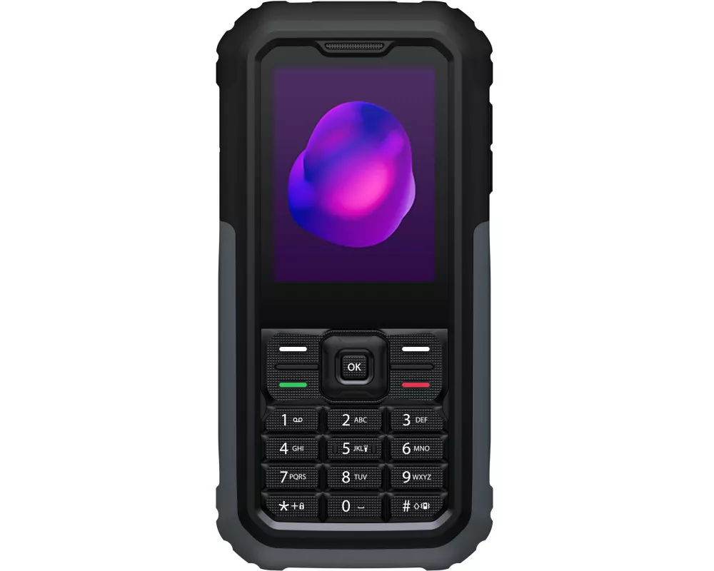 TCL 3189 4G Himalaya Grey