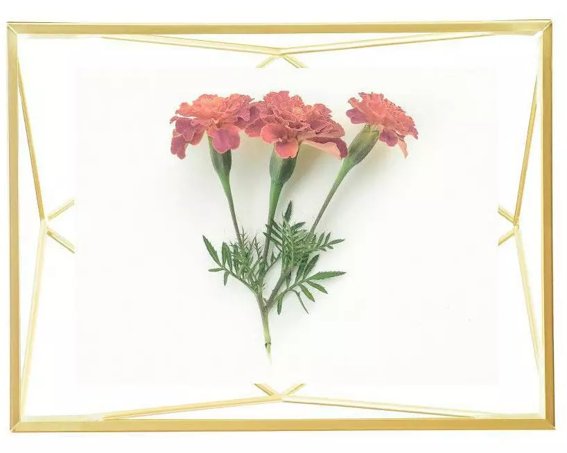 Umbra Bilderrahmen Prisma Gold, 10 x 15 cm