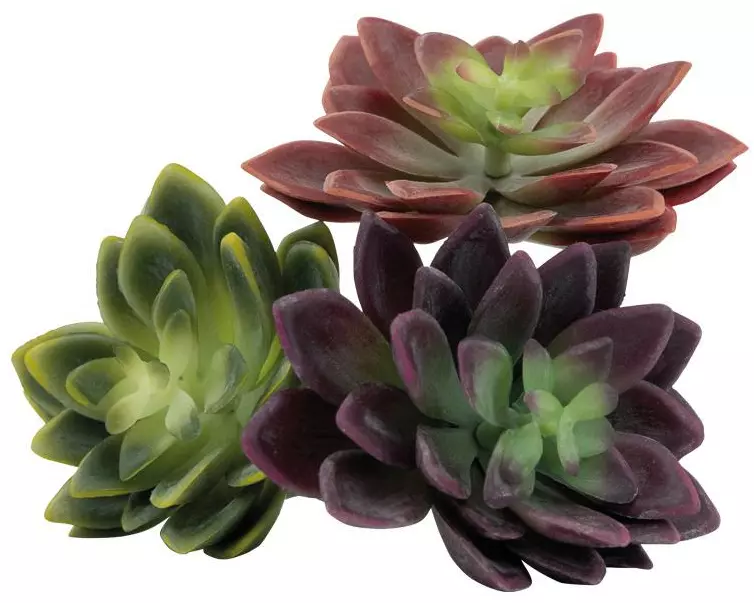 Dekomat AG Kunstpflanze Sukkulenten, 3er Set, ohne Topf, sortiert 12 cm