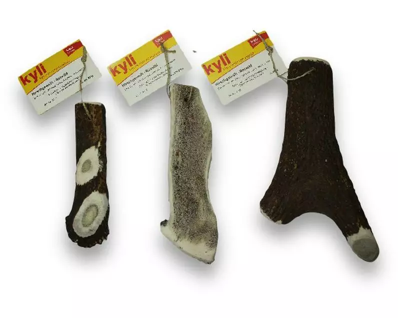 kyli Rothirschgeweih, Gr. M