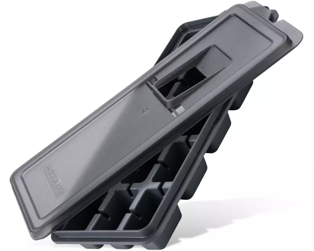 Fackelmann Eiswürfelform mit Deckel Statement Grau