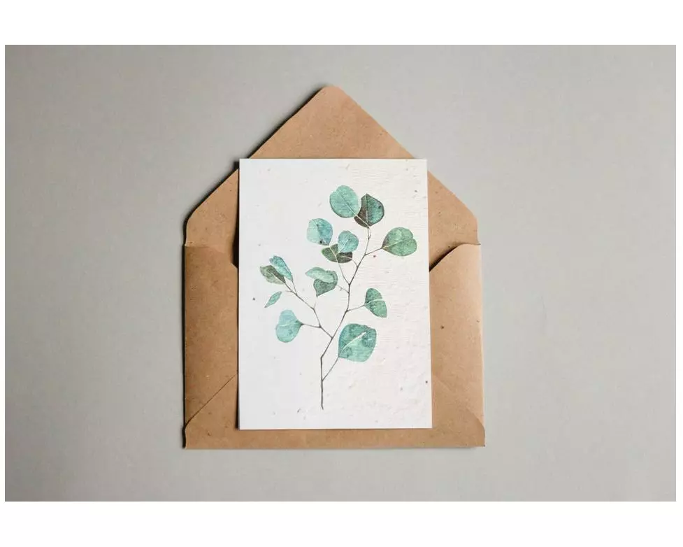 Gorilla Gardening Postkarten aus Samenpapier – Eukalyptus A6