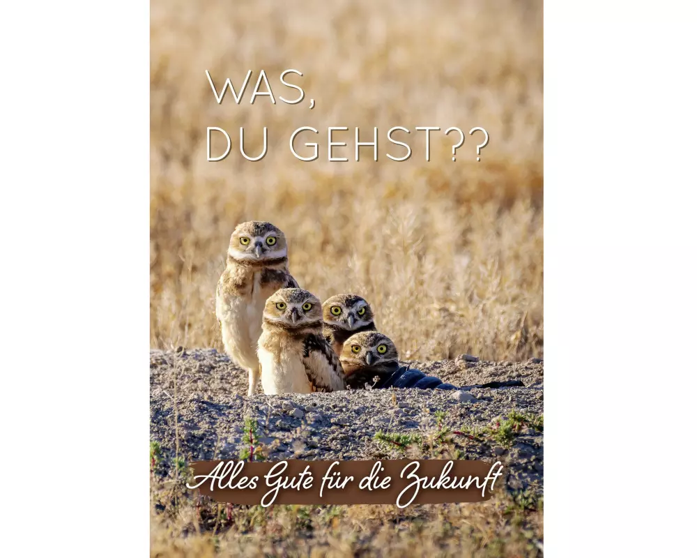 Cart Glückwunschkarte Abschied A4 (21 x 29.7 cm)