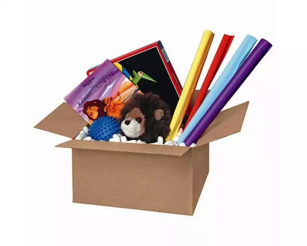 Brieger Versandkarton 30.5 x 21.5 x 14 cm, 1 Stück