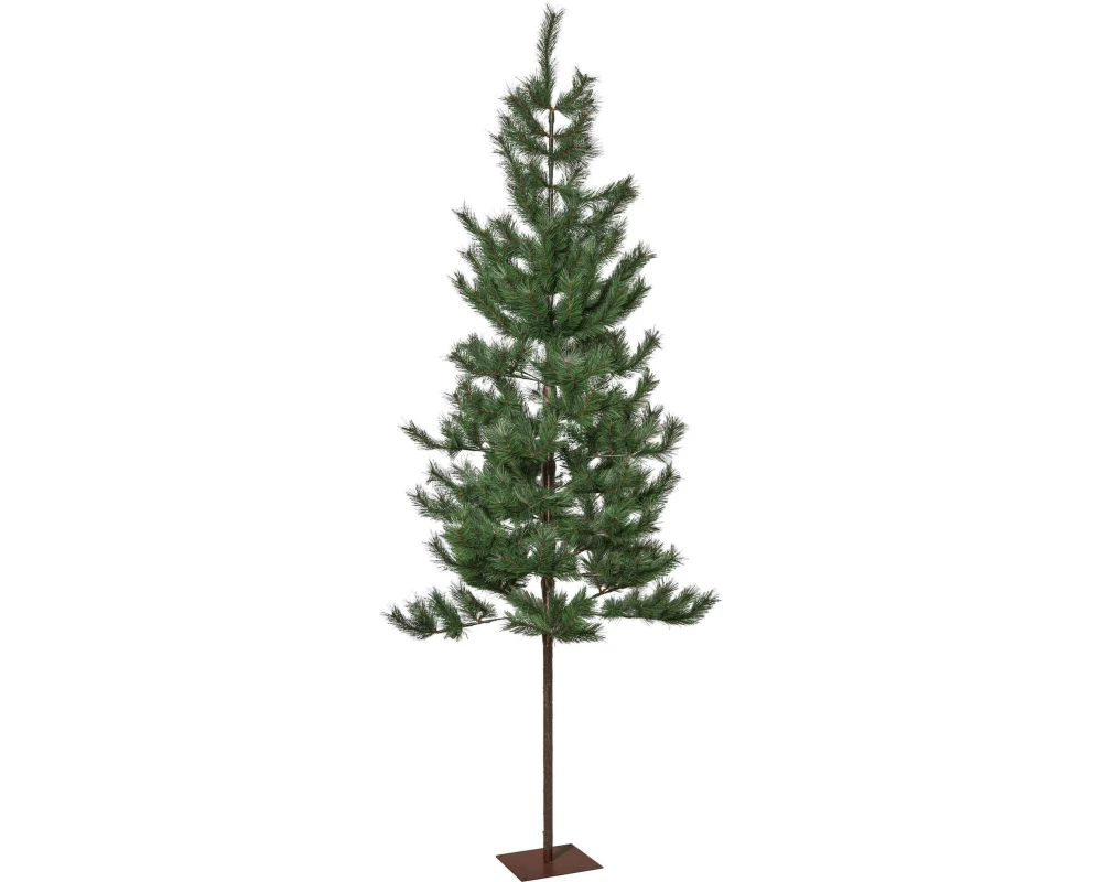 Star Trading Weihnachtsbaum Tallis Indoor, Grün, 200.00 cm Höhe