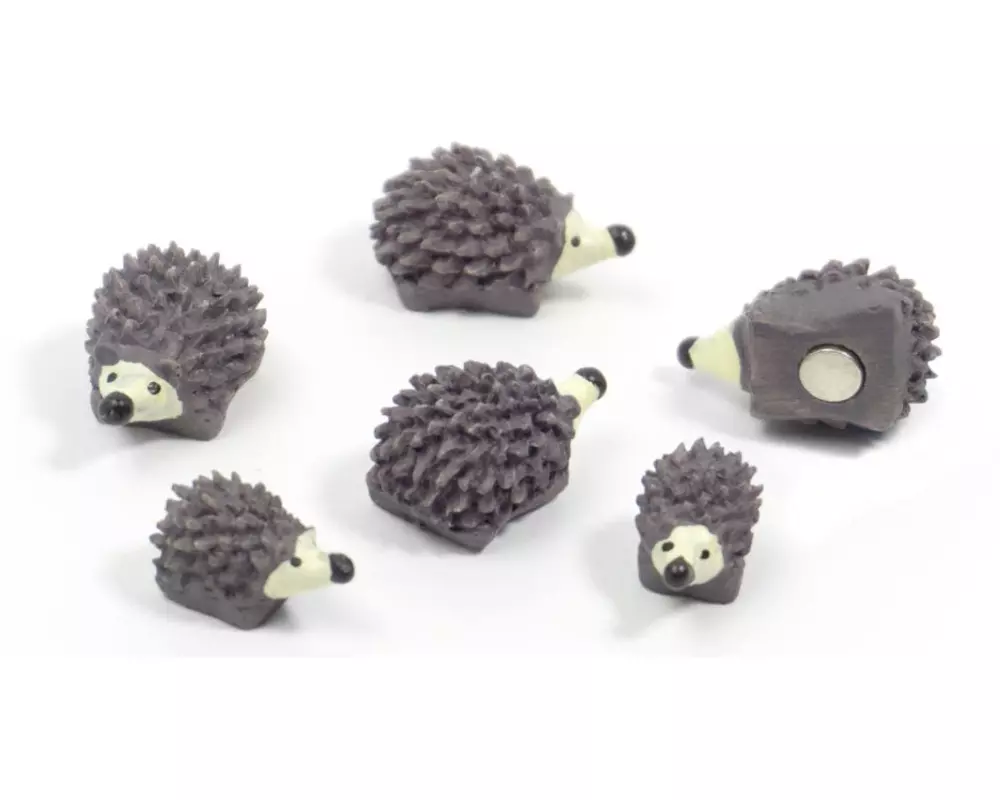 Trendform Haftmagnet HEDGEHOG Grau, 6 Stück