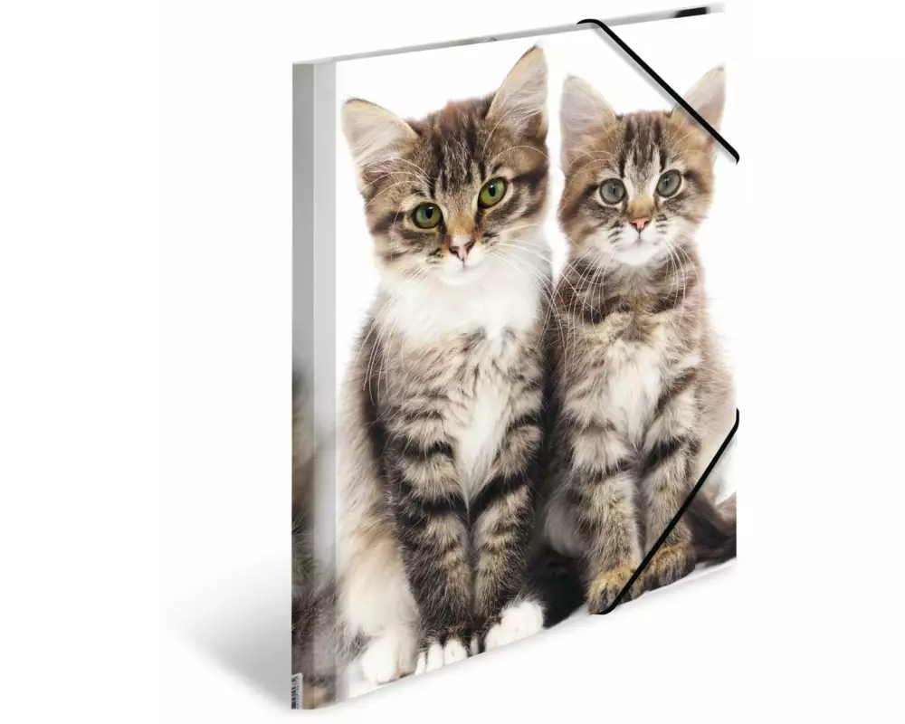HERMA Gummibandmappe A4 Katzen, Polypropylen, mit Innendruck
