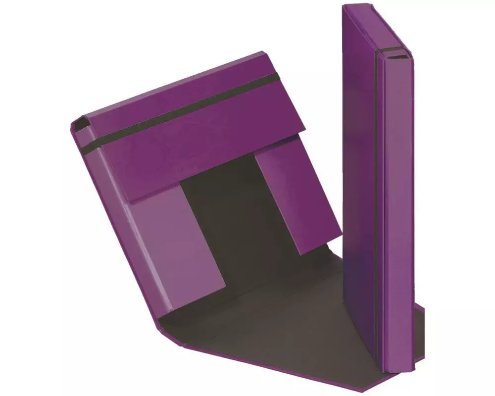 Pagna Gummibandmappe A4 Trend Lila