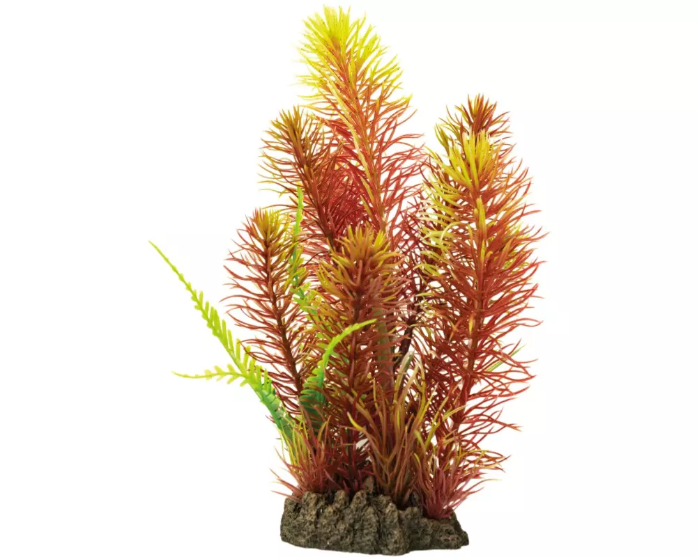 SuperFish Kunstpflanze Myriophyllum Red, 25 cm