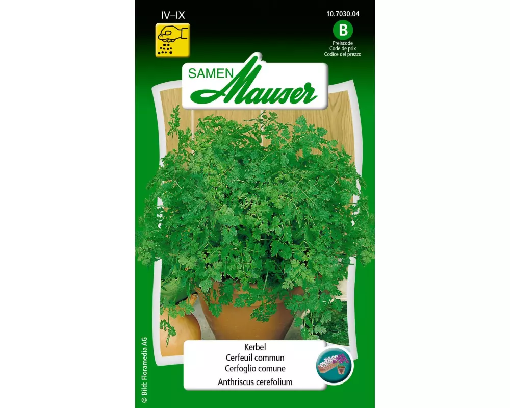 Samen Mauser Samen Kerbel