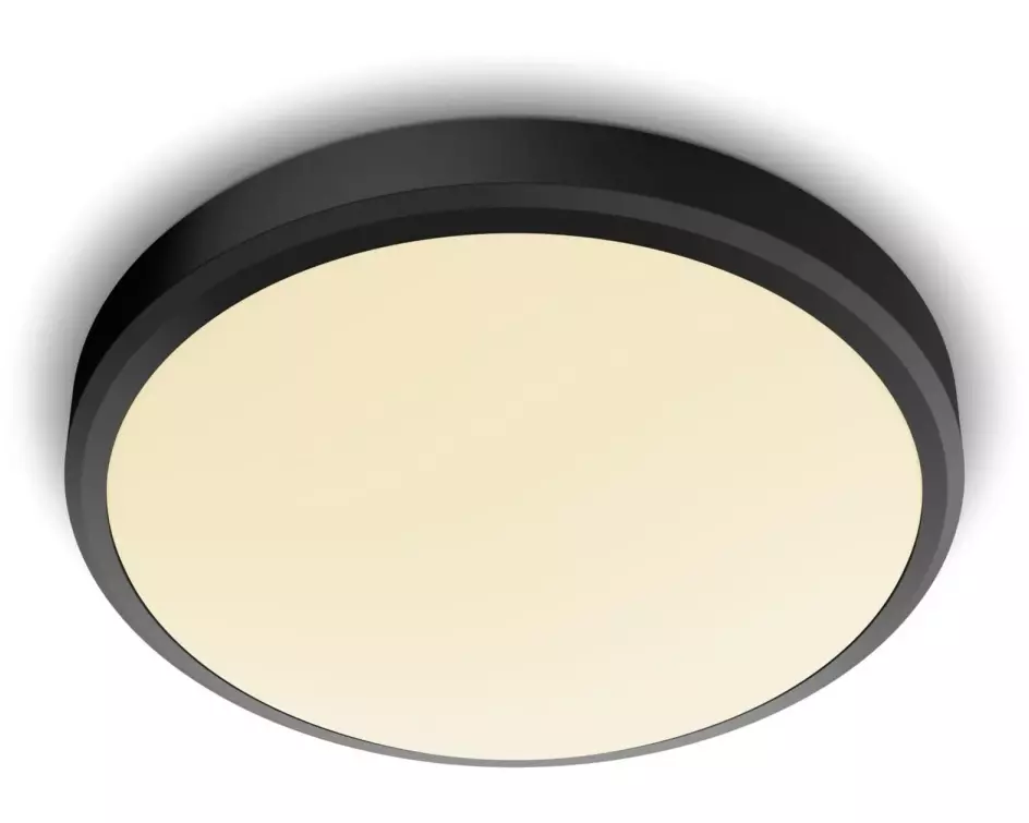 Philips Deckenleuchte Doris 17 W, 2700 K, Schwarz