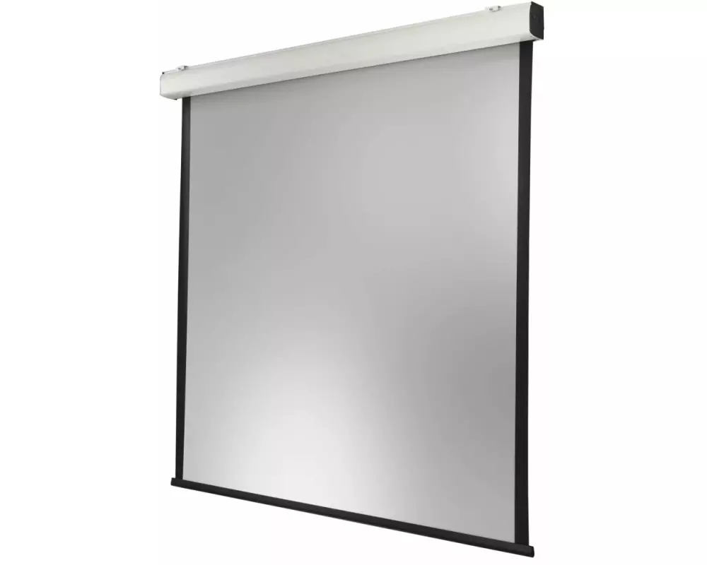 Celexon Motorleinwand Expert XL 300x300 cm 1:1