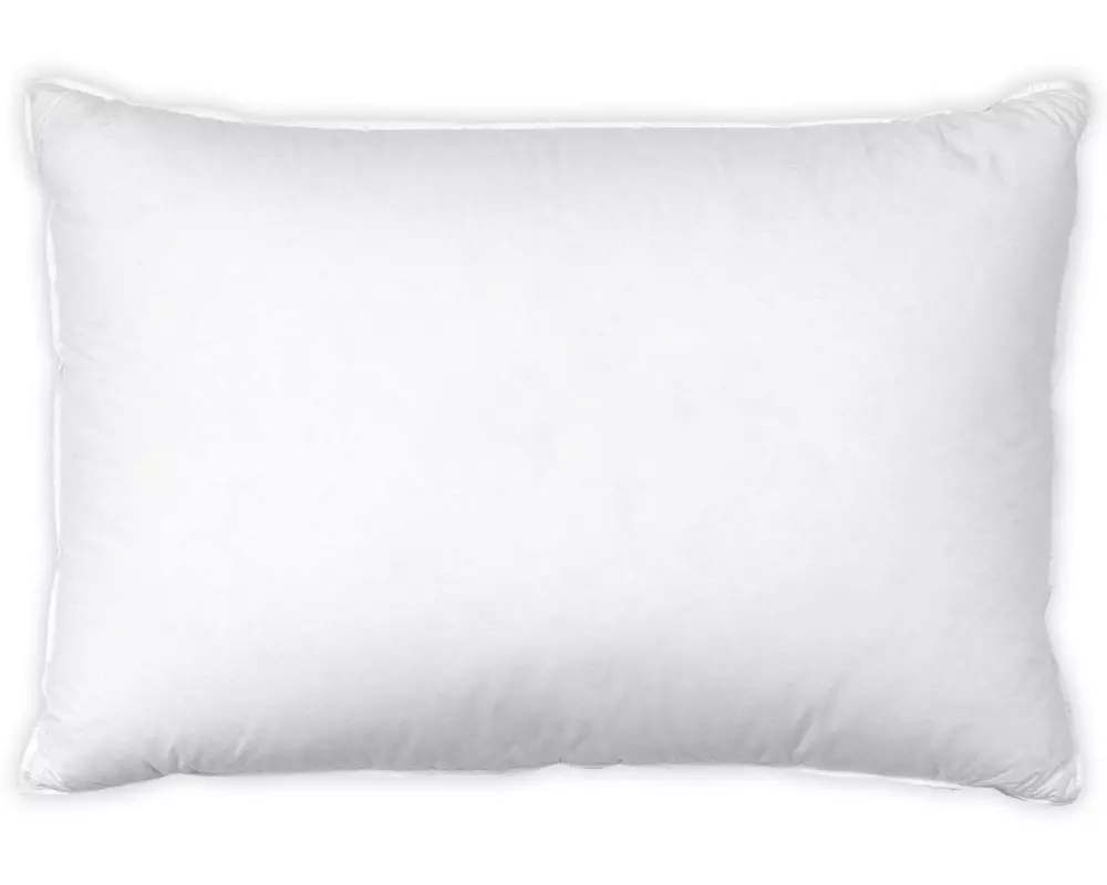 Interio Bettwaren Klassisches Kopfkissen Nature Regular 65 x 100 cm