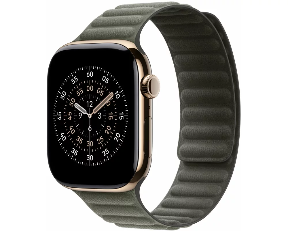Apple Magnetic Link 46 mm Sage Gray S/M