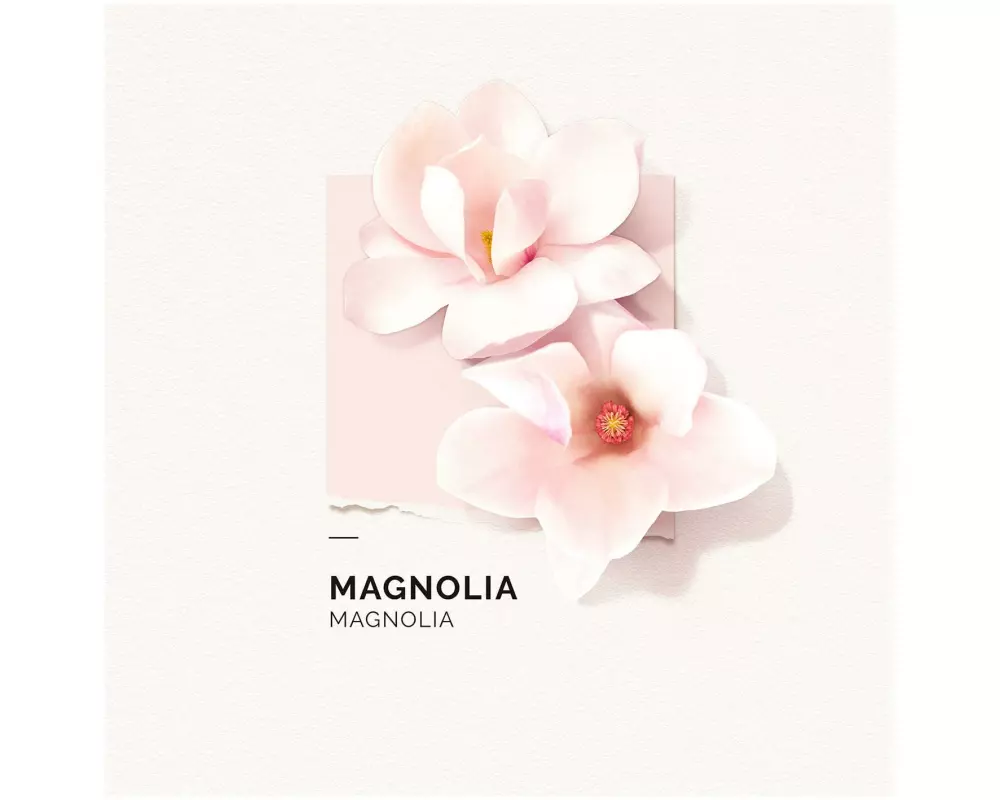 SOLINOTES Magnolia 50 ml