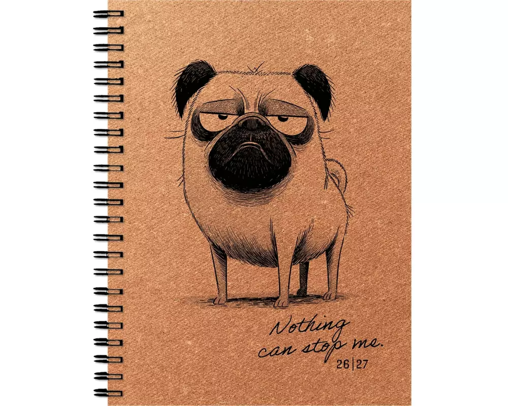 Simplex Schulagenda Recycling-Leather Weekly A6 2026/2027, Bad Mood