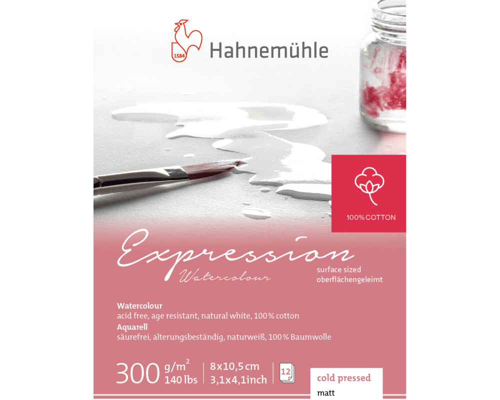 HAHNEMÜHLE Miniblock Expression 8.x10.5cm 10628664 weiss, 300g 12 Blatt