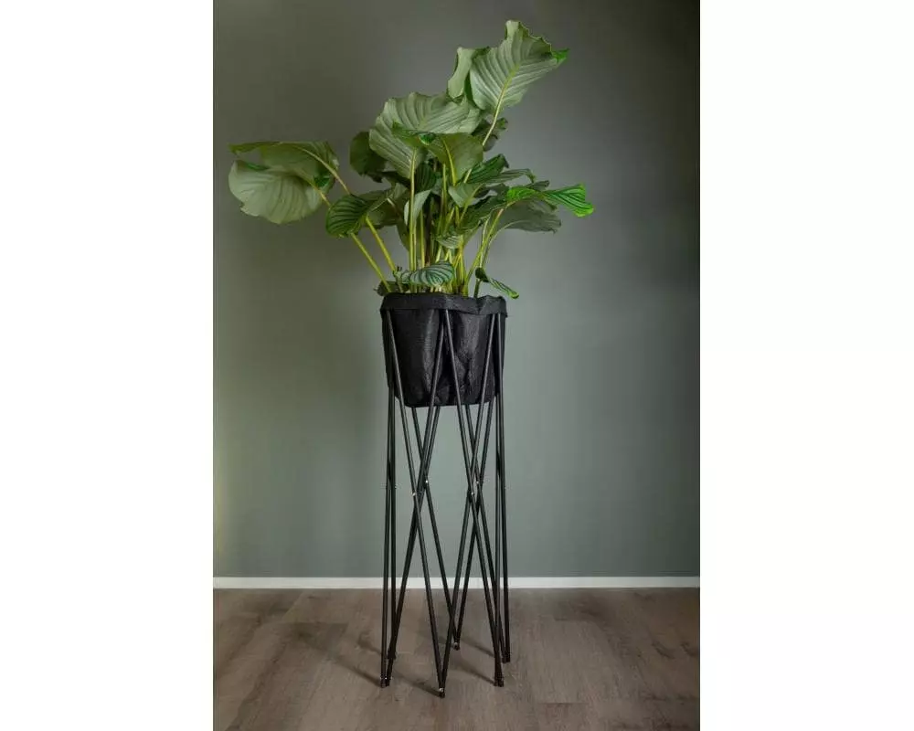 Neogard AG Pflanzenstativ Seda 100, Schwarz