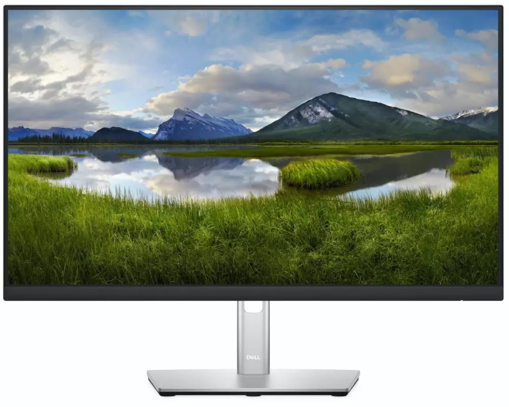 DELL Monitor P2422H