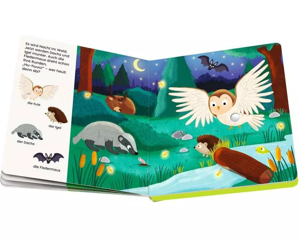 play+ Mein allererstes Soundbuch Tiere im Wald