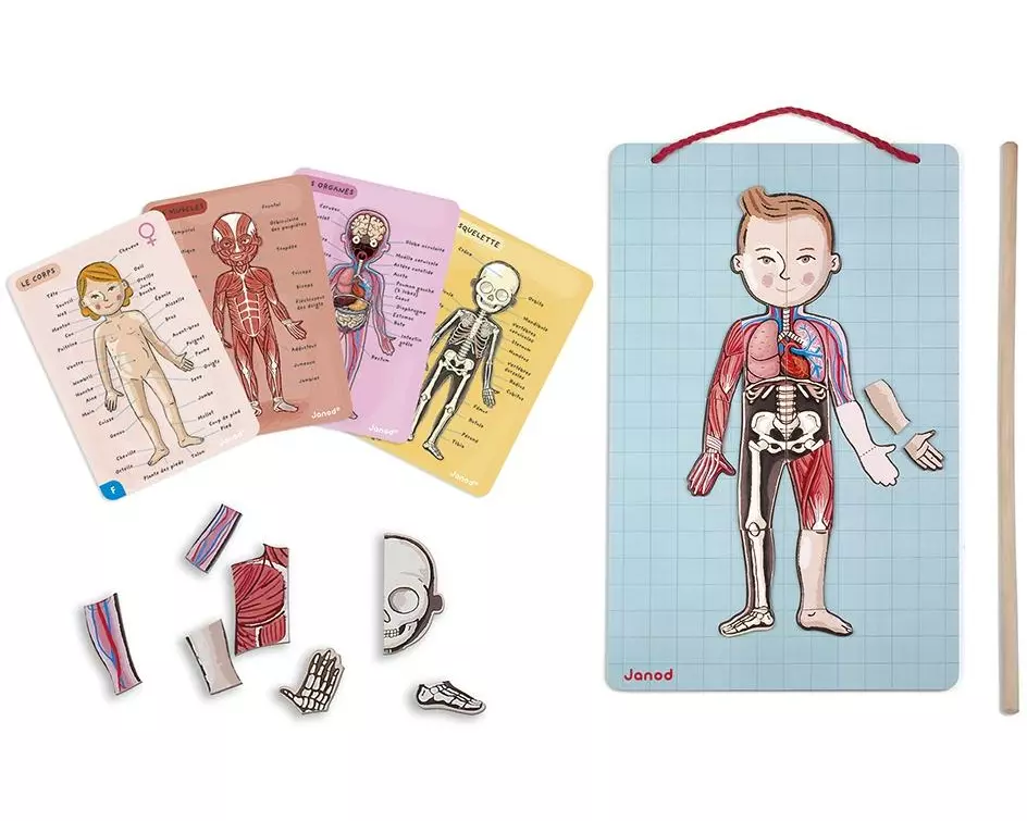 Janod Kinderspiel Magnetspiel Körper
