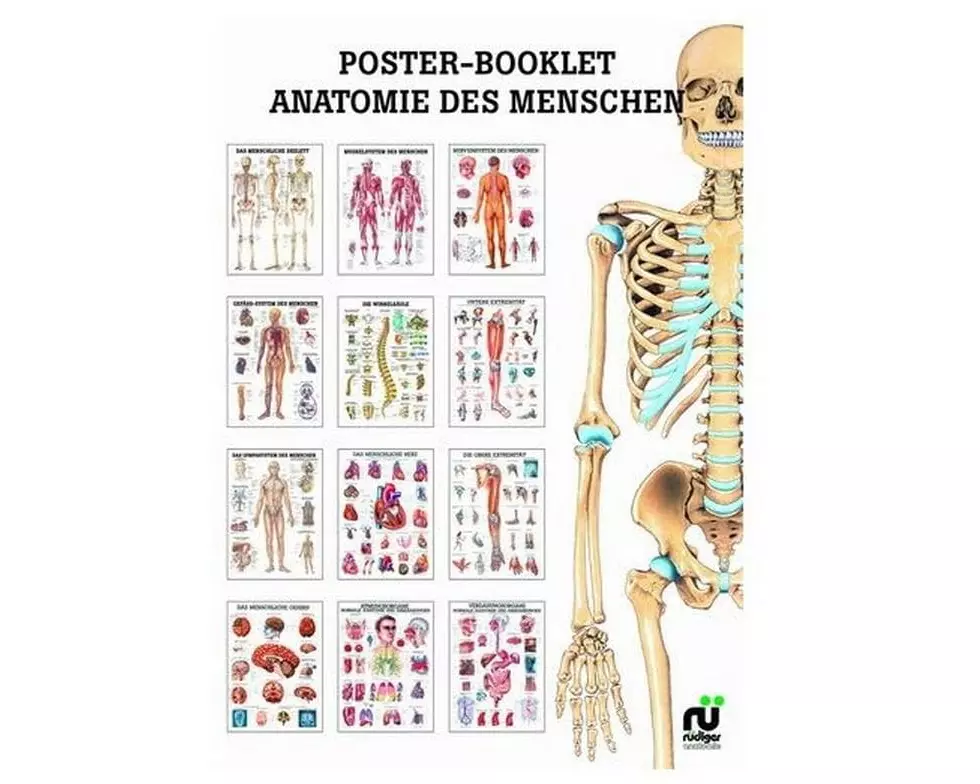 Rüdiger Poster-Booklet Anatomie des Menschen 24 x 34 cm
