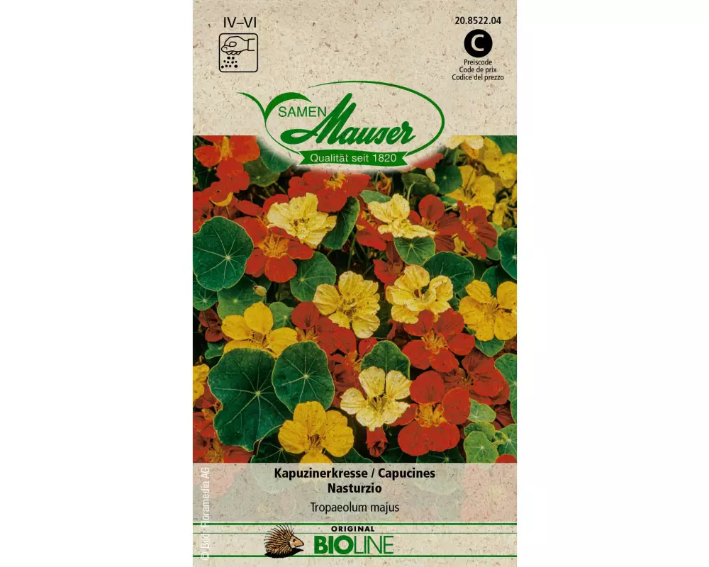 Samen Mauser Samen BIO Kapuzinerkresse