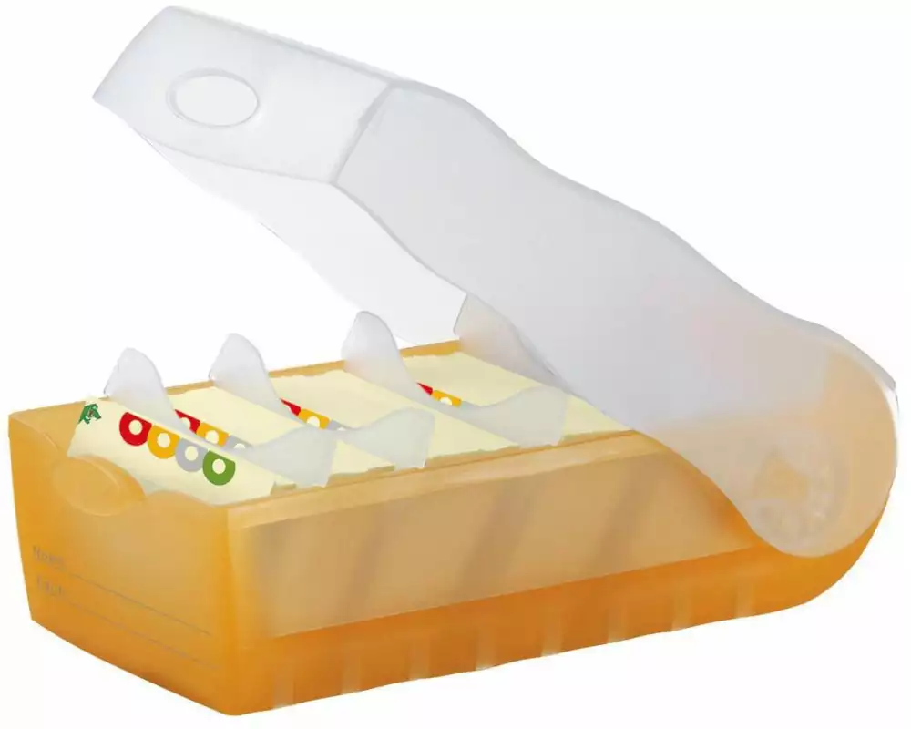 HAN Karteibox Croco A8 Orange