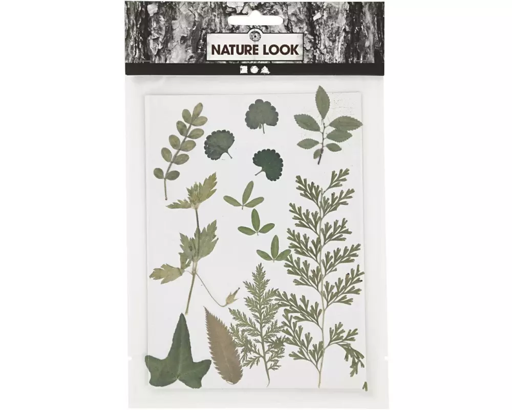 Creativ Company Streudeko Gepresste Blüten, 13 farbig sortiert