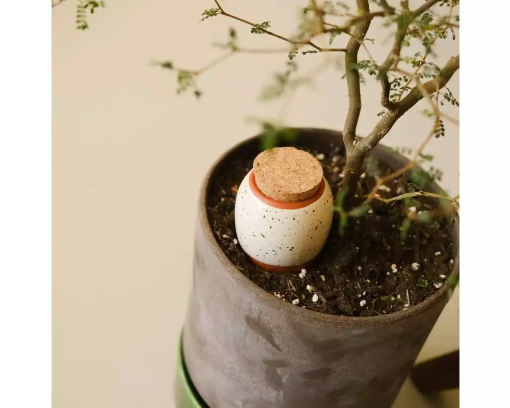 Gorilla Gardening Trio Mini Ollas