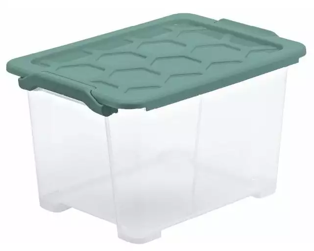 Rotho Aufbewahrungsbox Evo Safe 15 l, Grün/Transparent