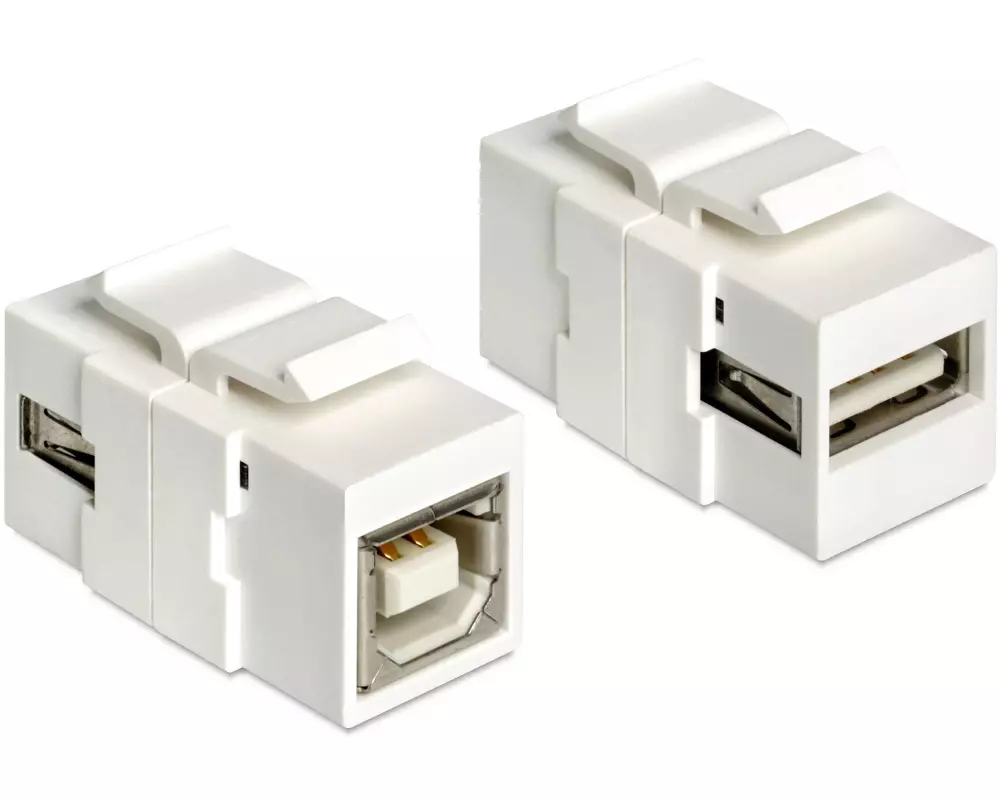 Delock Keystone-Modul USB 2.0, A – B, (f-f) Weiss