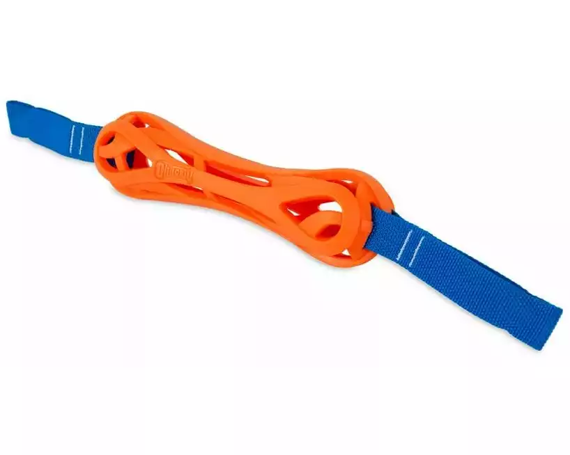 Chuckit! Hunde-Spielzeug Air Bumper, 21.5 x 5.5 x 3.5 cm