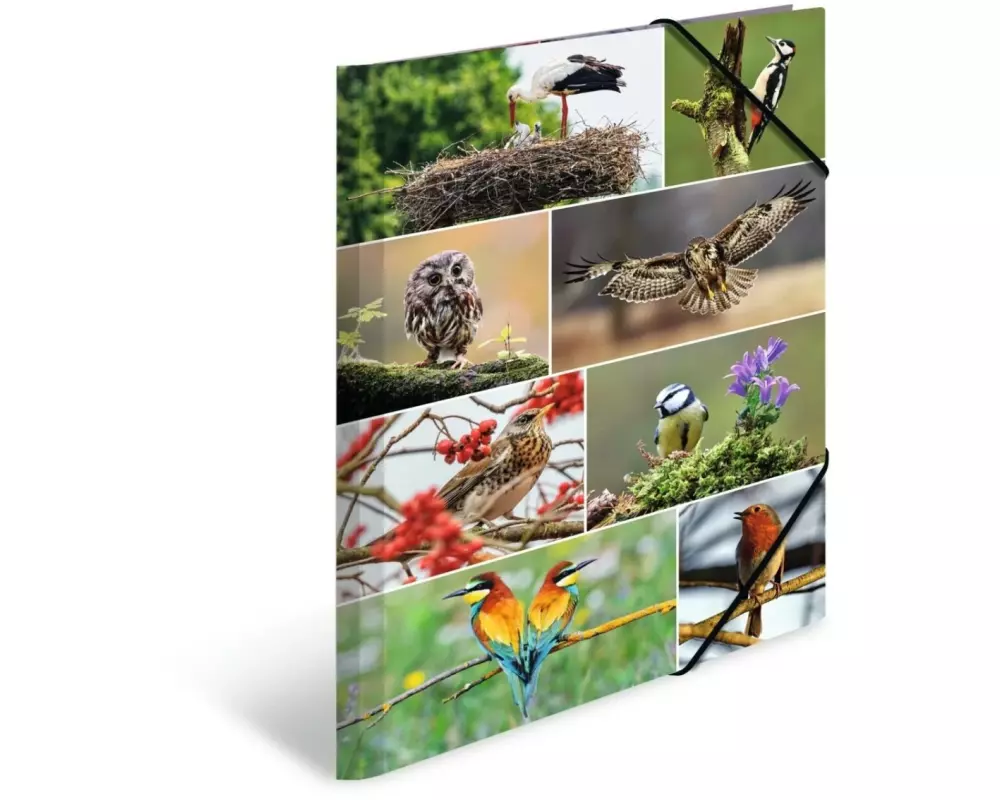 HERMA Gummibandmappe Heimatvögel A3, Mehrfarbig