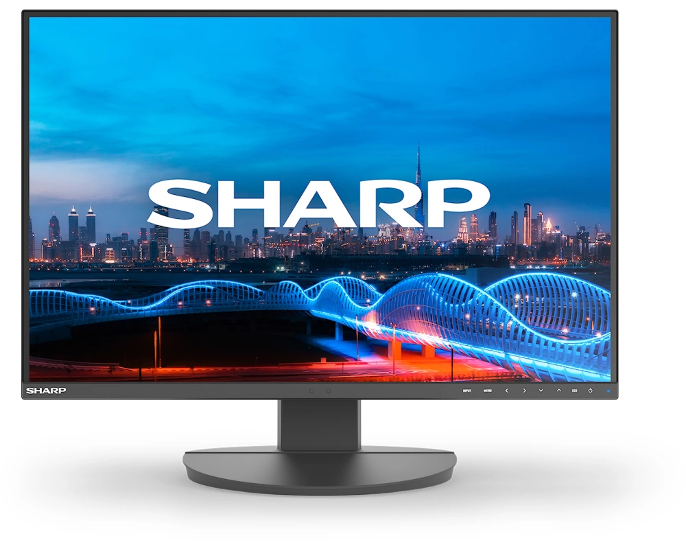 Sharp MultiSync EA241W Computerbildschirm 61 cm (24") 1920 x 1200 Pixel Full HD LCD Schwarz