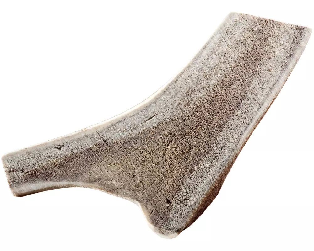 Chewies Rothirsch-Geweihstange XL halb