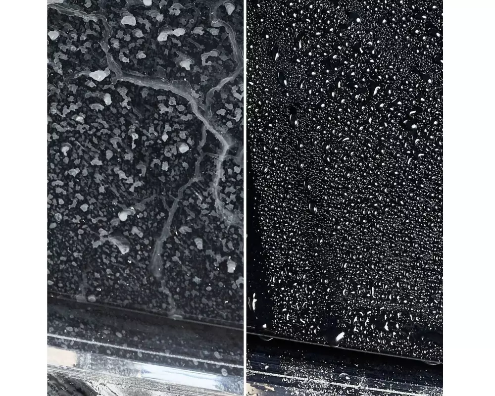Sonax Carnauba Wasch & Wax 1000 ml