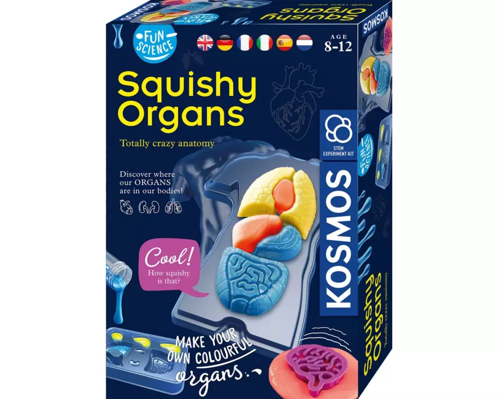 Kosmos Experimentierkasten Fun Science – Squishy Organs