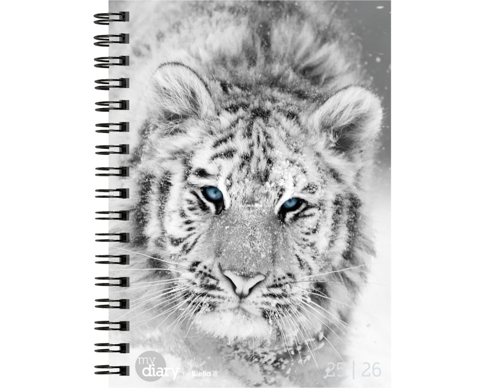 BIELLA Schüleragenda BlackWhite 25/26 806517860026U 1W/2S 12x16.5cm