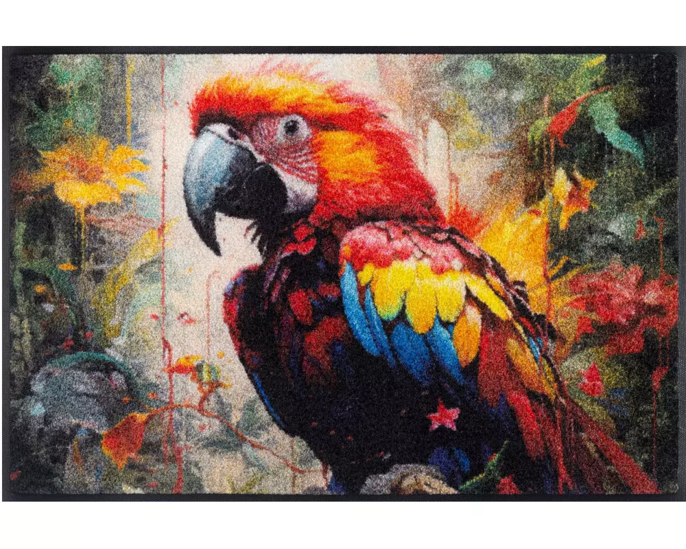 wash+dry Fussmatte Wash+Dry Parry McParrot 50 cm x 75 cm