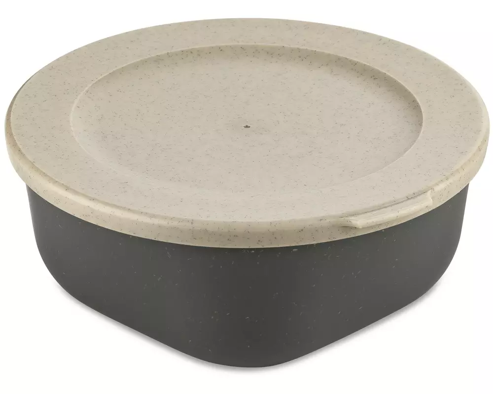 Koziol Vorratsdose Connect 0.7 l, Grau