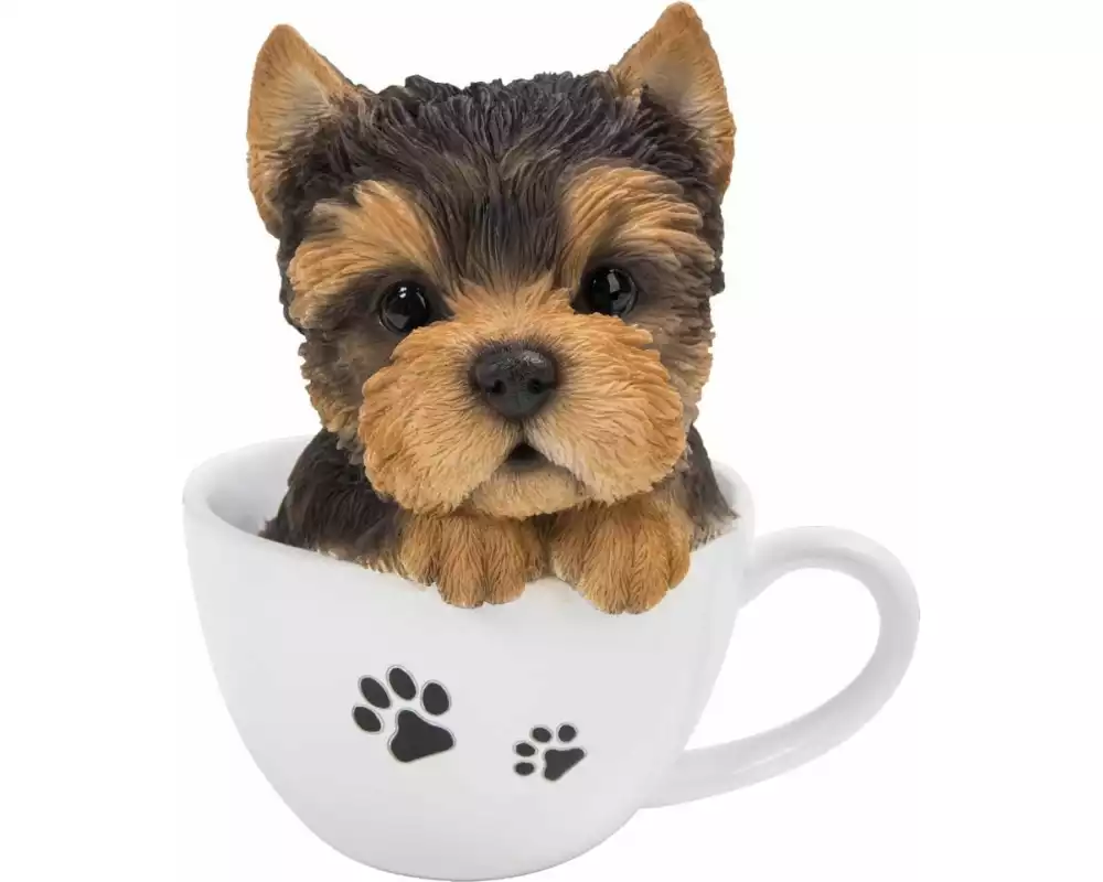 Vivid Arts Dekofigur Yorkshire Terrier Welpe in Tasse