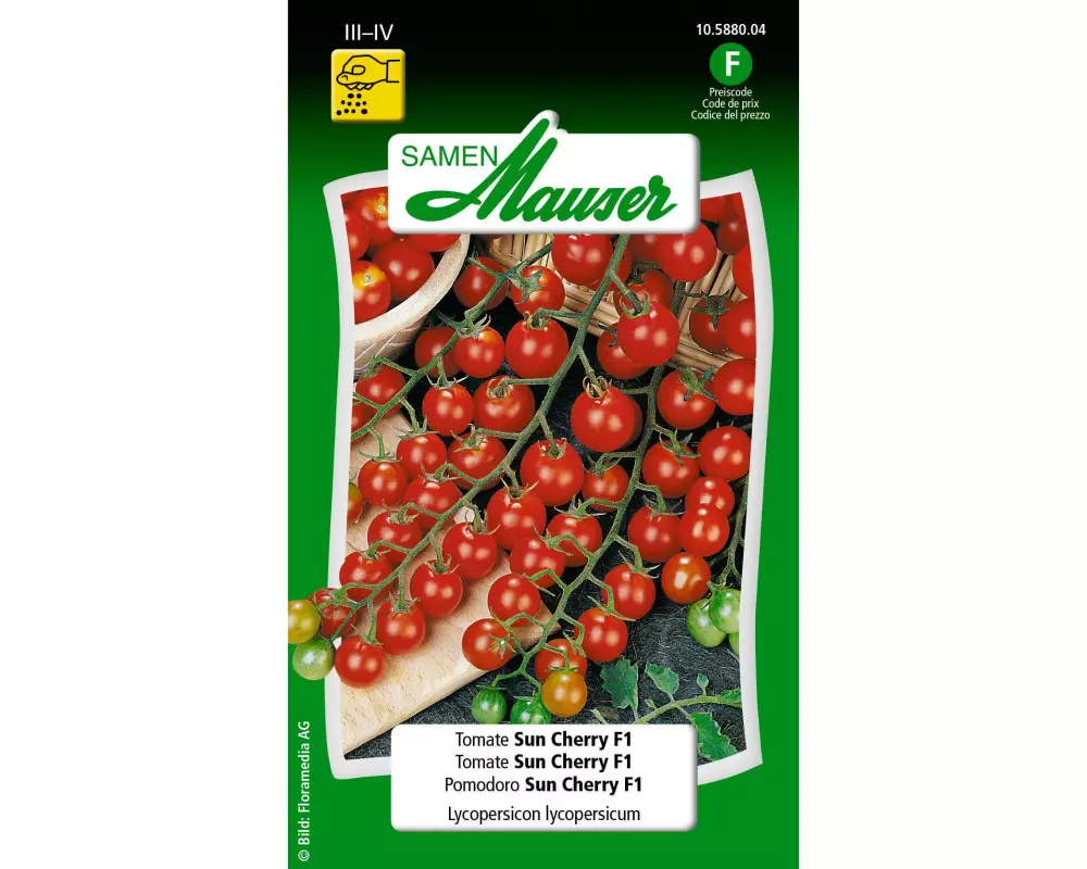 Samen Mauser Samen Tomate Sun Cherry F1