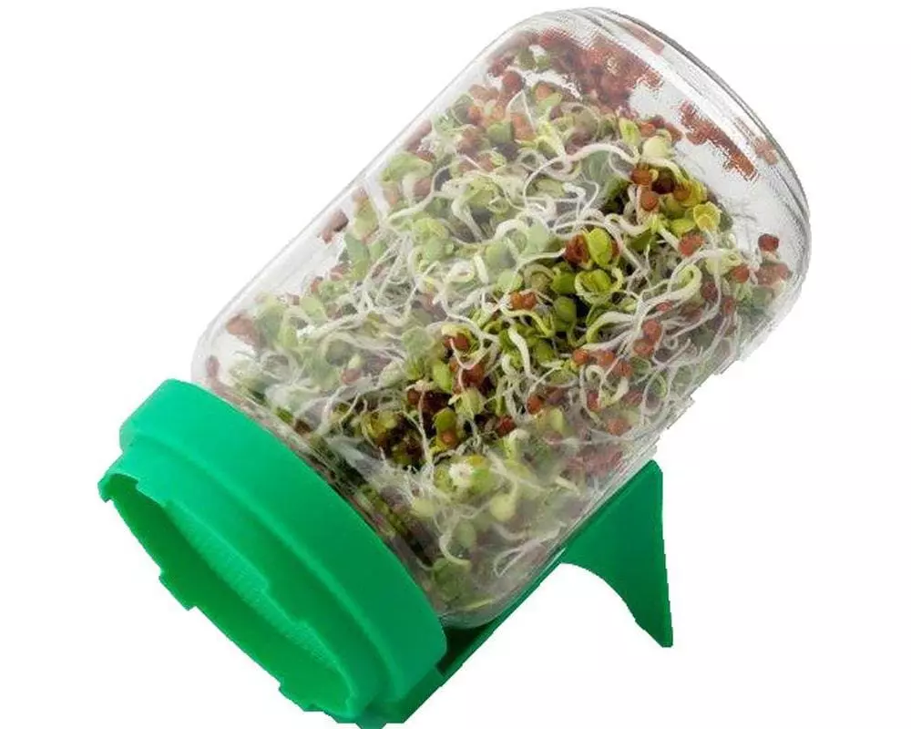 Samen Mauser Sprossenglas mit Sieb