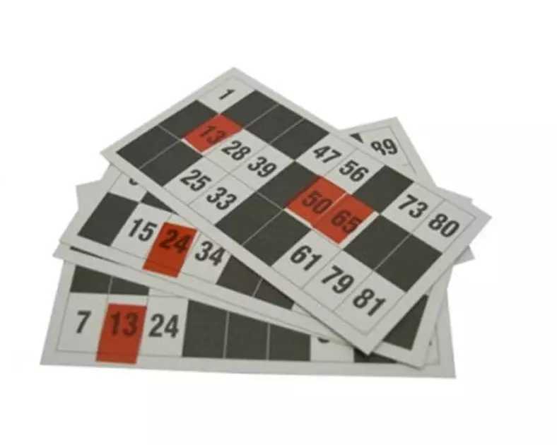 Ravensburger Lottokarten Lottokarten 24 Stück