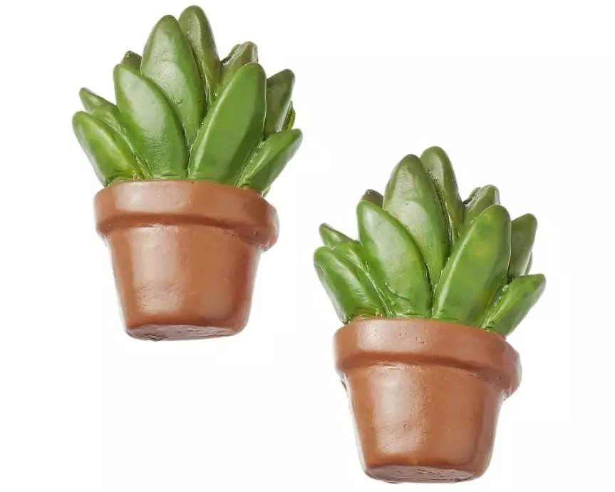 HobbyFun 3D-Sticker Kakteen mit Klebepunkt 3 Stück