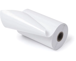 Zebra ZeroLiner Multipurpose Label