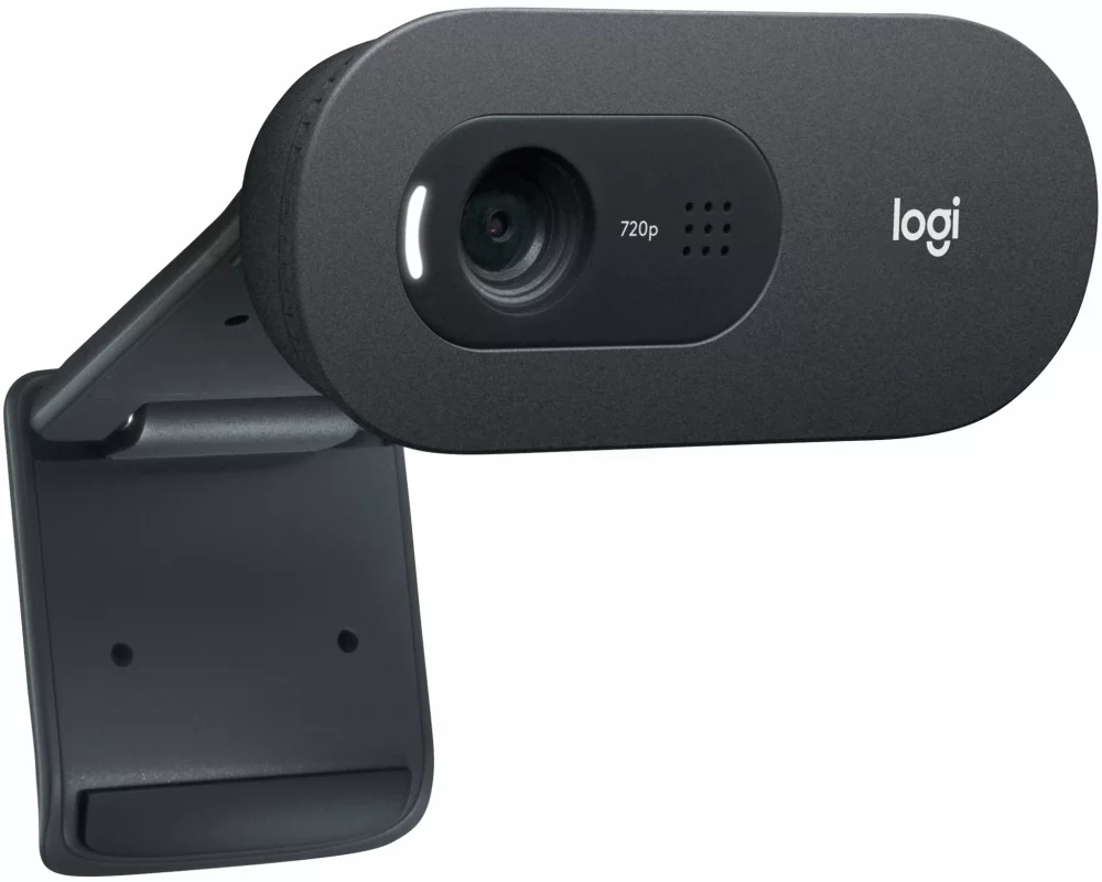 Logitech Webcam C505e HD Bulk